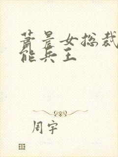 萧晨女总裁的全能兵王