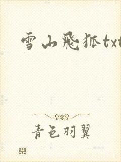 雪山飞狐txt