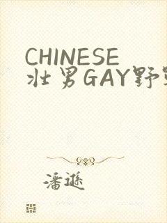 CHINESE壮男GAY野战强迫TUBE