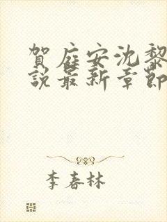 贺庭安沈黎初小说最新章节更新内容