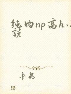 纯肉np高h小说