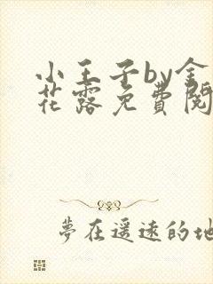 小王子by金银花露免费阅读笔趣阁封面