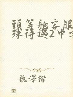 头等舱客服的特殊待遇2中字