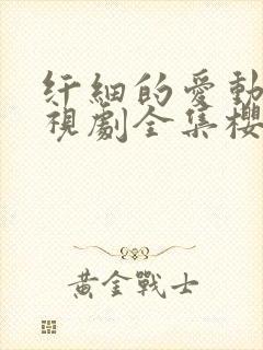 纤细的爱动漫电视剧全集樱花动漫封面