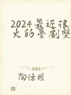 2024最近很火的台剧双男主