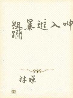 粗暴进入呻吟蹂躏