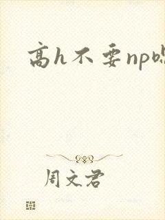 高h不要np嗯