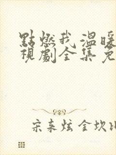 点燃我温暖你电视剧全集免费