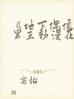 《地下偶像》双男主动漫在线