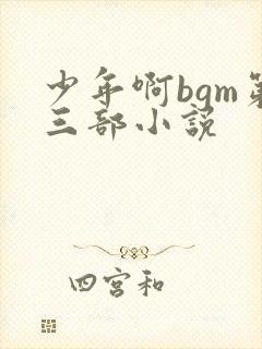 少年啊bgm第三部小说封面