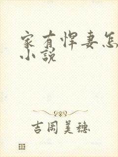 家有悍妻怎么破小说