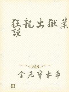 狂龙出狱叶风小说