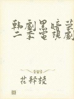 韩剧黑暗荣耀第二季电视剧汉语封面