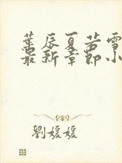 叶辰夏若雪孙怡最新章节小说下载