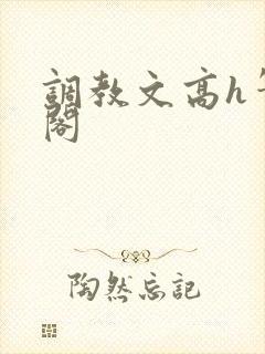 调教文高h笔趣阁