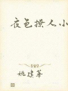 夜色撩人小说封面