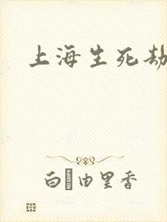 上海生死劫封面