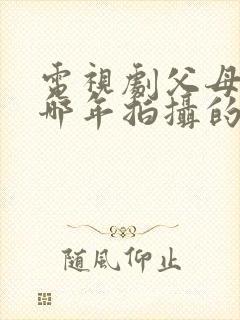 电视剧父母爱情哪年拍摄的