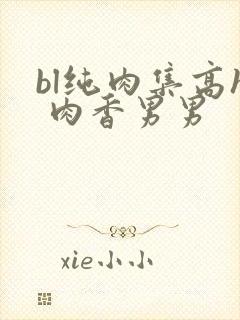 bl纯肉集高h 肉香男男封面
