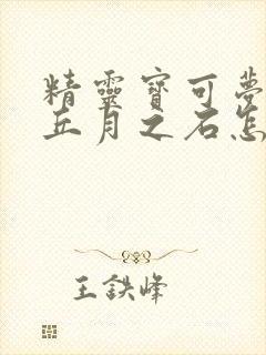 精灵宝可梦皮卡丘月之石怎么获得