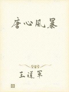 唐心风暴