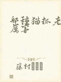 哪种猫抓老鼠最厉害