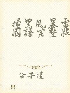 扫黑风暴电视剧国语完整版免费观看