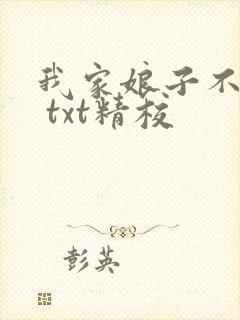我家娘子不对劲 txt精校封面