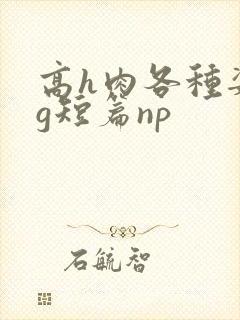 高h肉各种姿势g短篇np