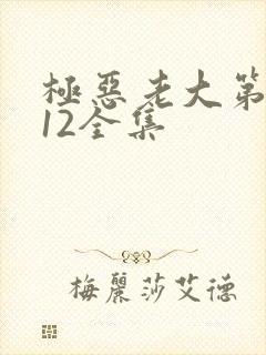 极恶老大第二季12全集