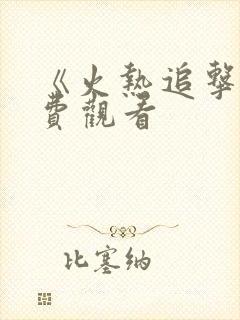 《火热追击》免费观看