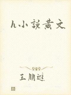 h小说黄文封面