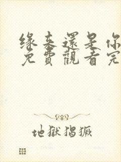 缘来还是你短剧免费观看完整版