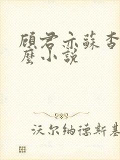 顾君亦苏杳是什么小说