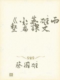 《小英雄雨来》整篇课文