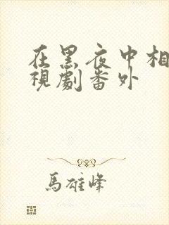 在黑夜中相拥电视剧番外