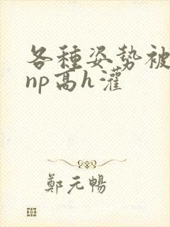 各种姿势被学长np高h灌