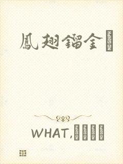 凤翅镏金镋封面