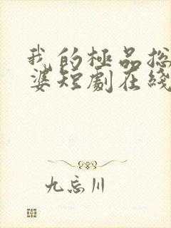 我的极品总裁老婆短剧在线观看免费高清