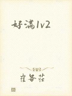 好满1v2