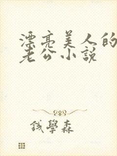 漂亮美人的四个老公小说