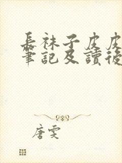 长袜子皮皮摘抄笔记及读后感封面