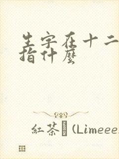 生字在十二生肖指什么