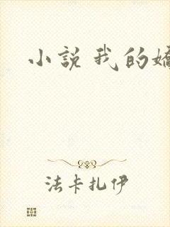 小说 我的娇妻