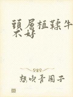 头层植鞣牛皮好不好