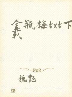 金瓶梅txt下载封面