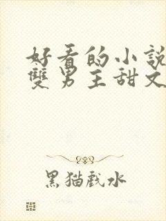 好看的小说推荐双男主甜文