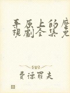 平原上的摩西电视剧全集免费