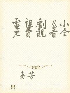 电视剧《小舅》免费观看全集高清