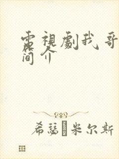 电视剧我哥我嫂简介封面